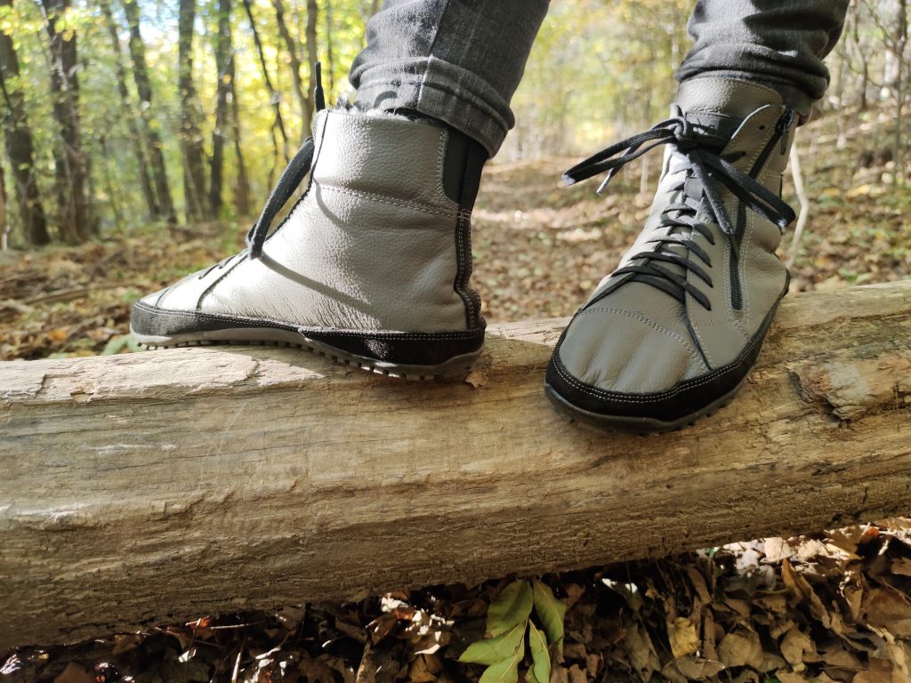 Magical alaskan barefoot bokacsizma egy farönkön az erdőben